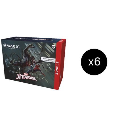 Marvel's Spider-Man - Bundle Case