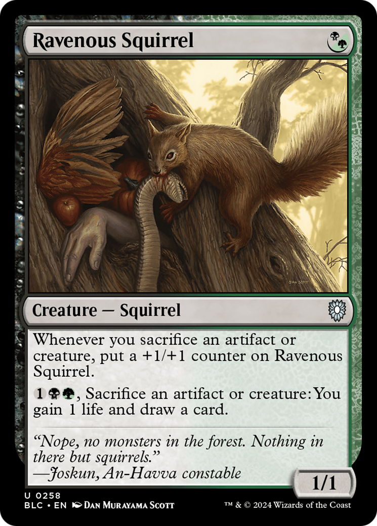 Ravenous Squirrel (BLC-258) - Bloomburrow Commander