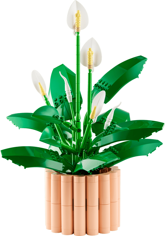 LEGO Botanicals Peace Lily - 11504