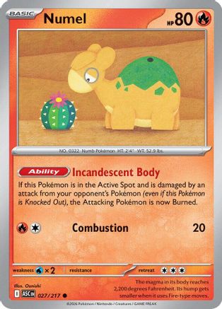 Numel 027/217  - Reverse Holofoil ME Ascended Heroes - Common