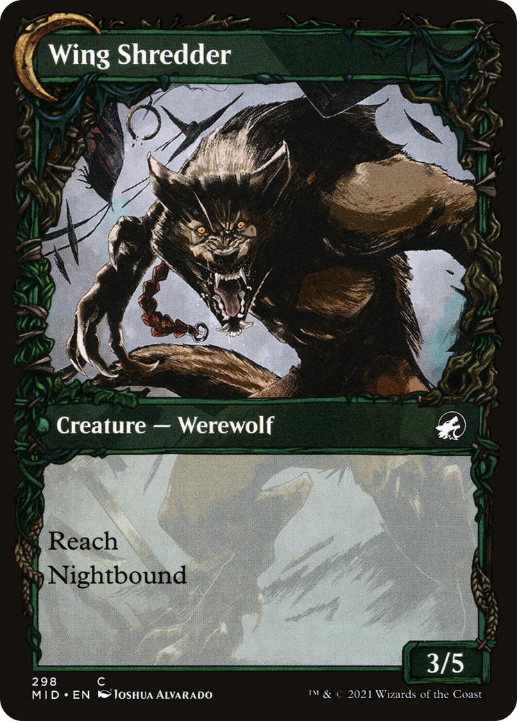 Bird Admirer (Showcase) (MID-298) - Innistrad: Midnight Hunt: (Showcase, Double Faced Transform)