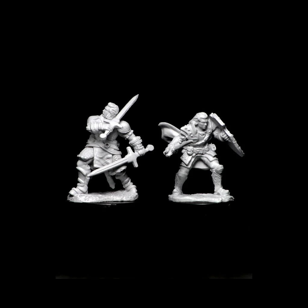 D&D Nolzur's Marvelous Miniatures Human Male Paladin