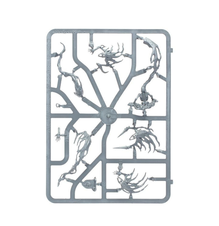 Nighthaunt Spirit Hosts