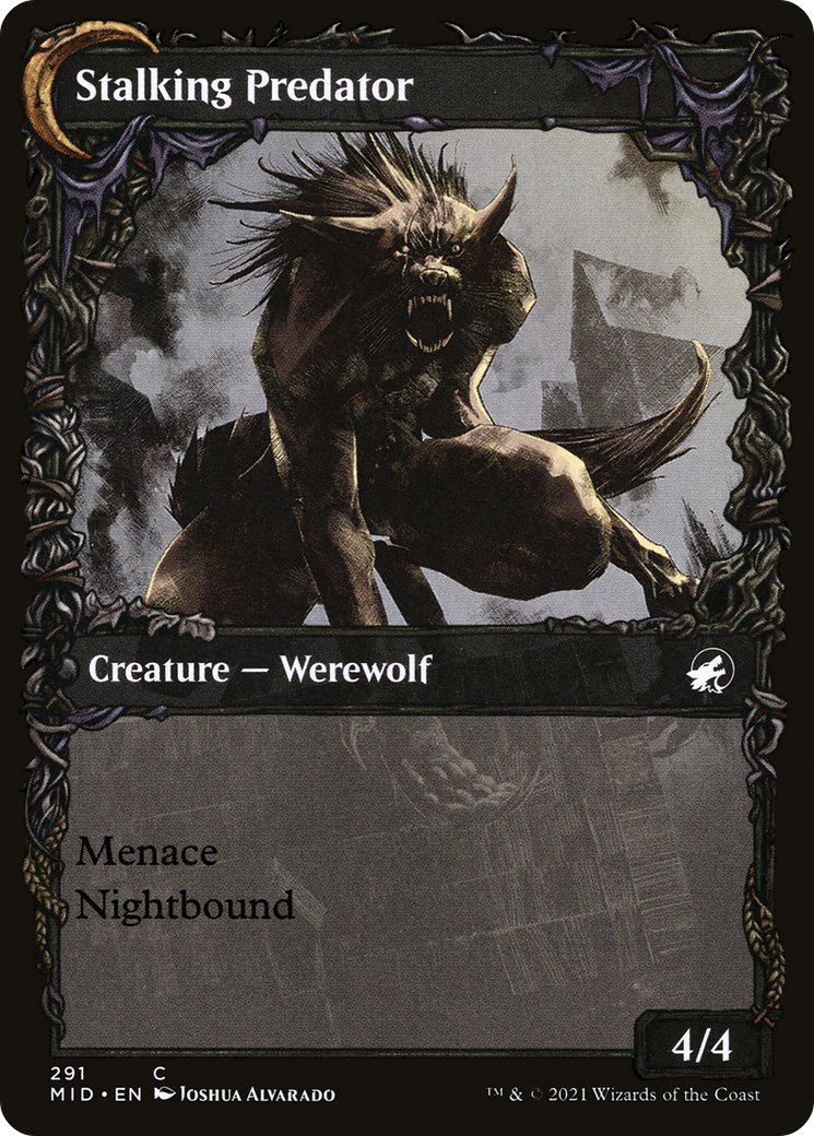 Shady Traveler (Showcase) (MID-291) - Innistrad: Midnight Hunt: (Showcase, Double Faced Transform) Foil