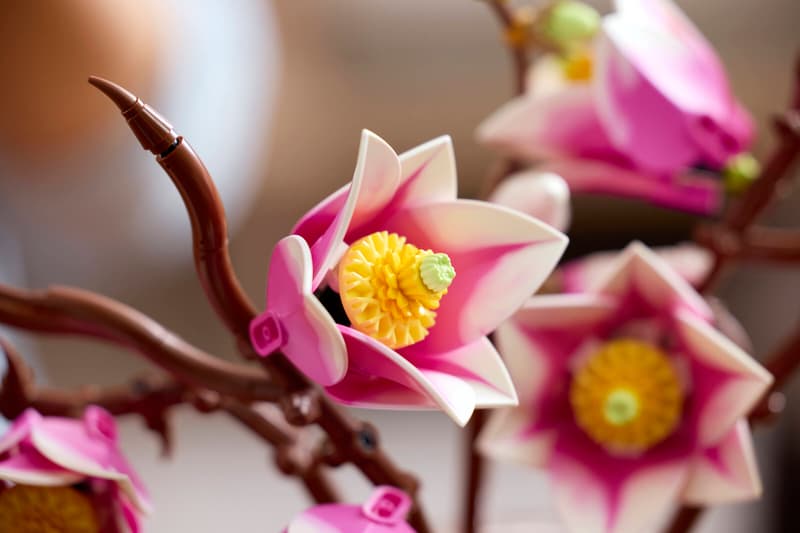 LEGO Botanicals Magnolia Branches - 11510