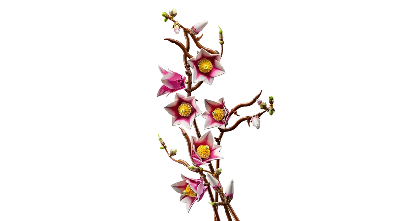 LEGO Botanicals Magnolia Branches - 11510