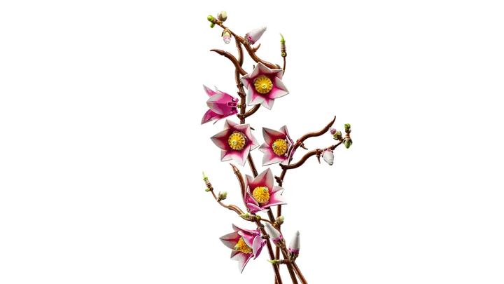LEGO Botanicals Magnolia Branches - 11510