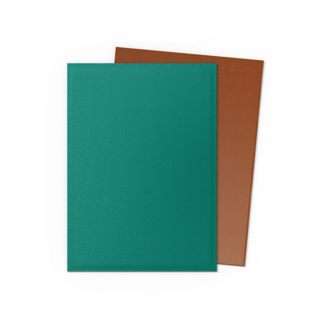 Dragon Shield Sleeves: Power & Copper - Matte Dual Sleeves — official publisher extra