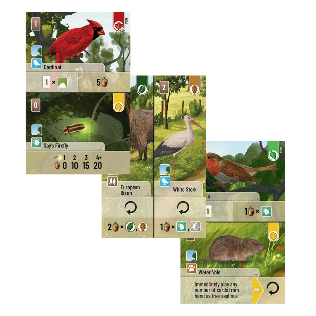 Forest Shuffle: Exploration — official publisher extra