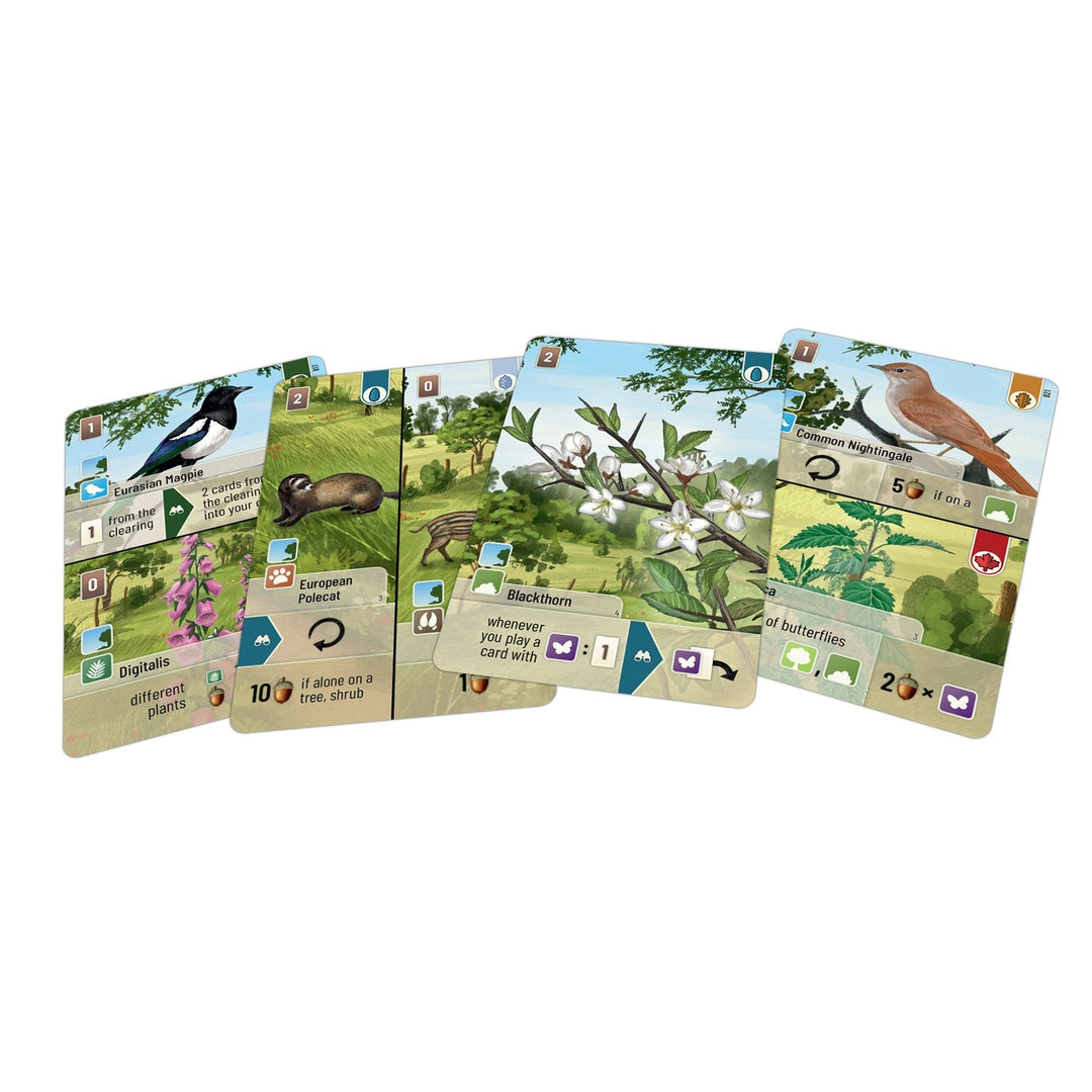 Forest Shuffle: Woodland Edge Expansion — official publisher extra