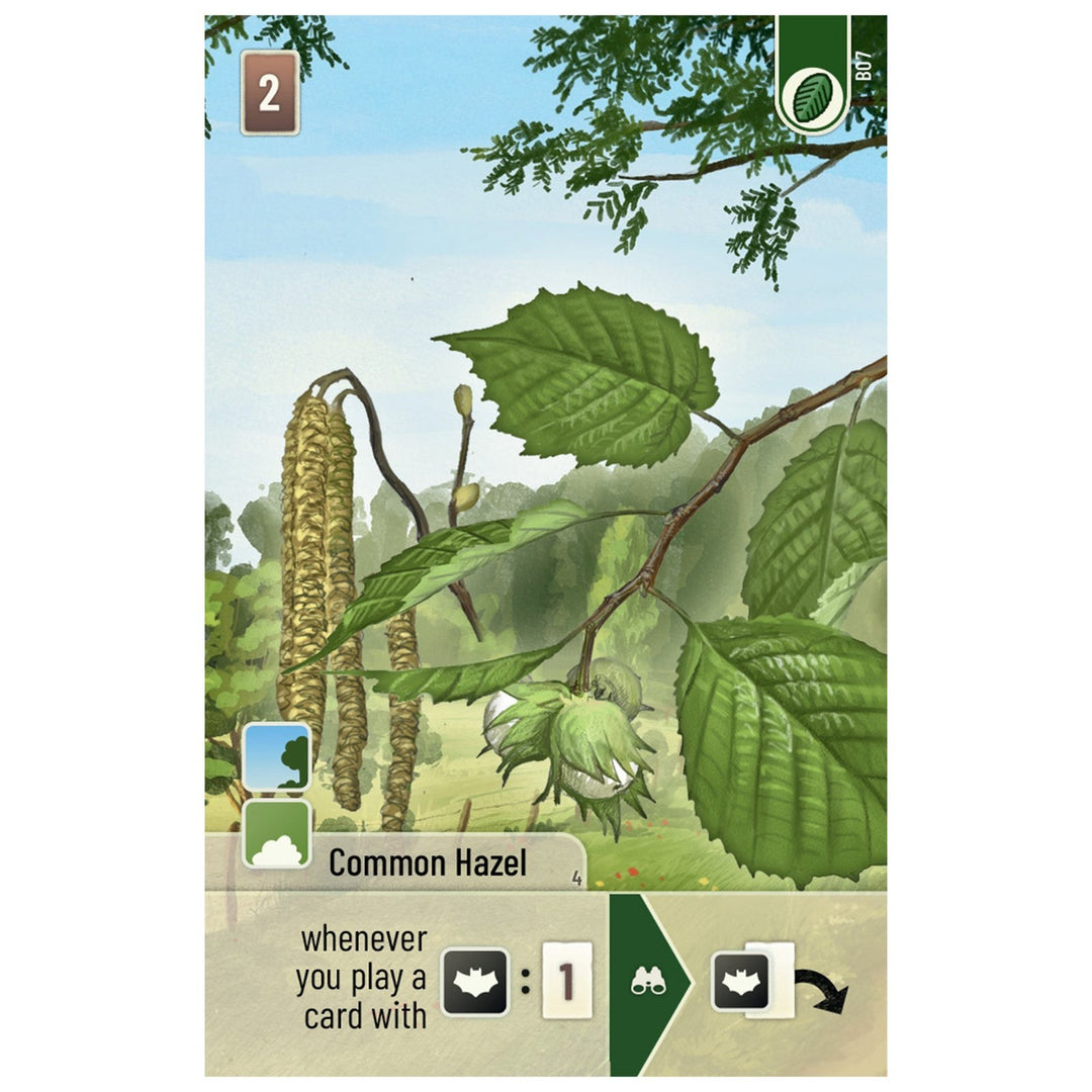 Forest Shuffle: Woodland Edge Expansion — official publisher extra