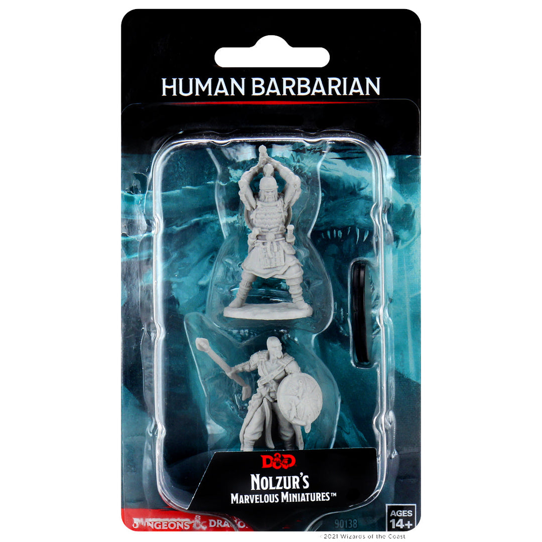D&D Nolzur Human Barbarian