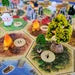 Catan