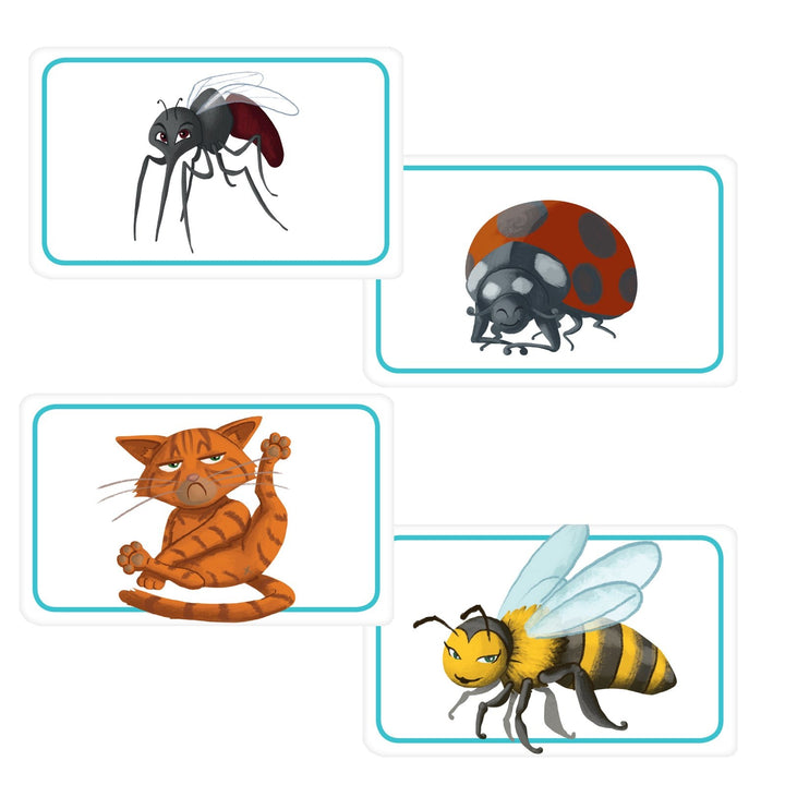Concept Kids Animals — official extra