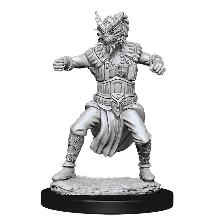 D&D Nolzur's Marvelous Miniatures Male Human Monk